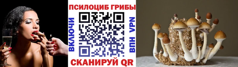 Галлюциногенные грибы ЛСД Пионерский